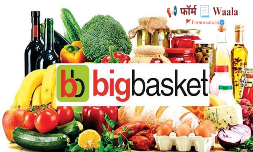 Big Basket Data Entry Operator Jobs 2025