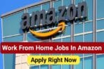 Work From Home Jobs in Amazon 2025